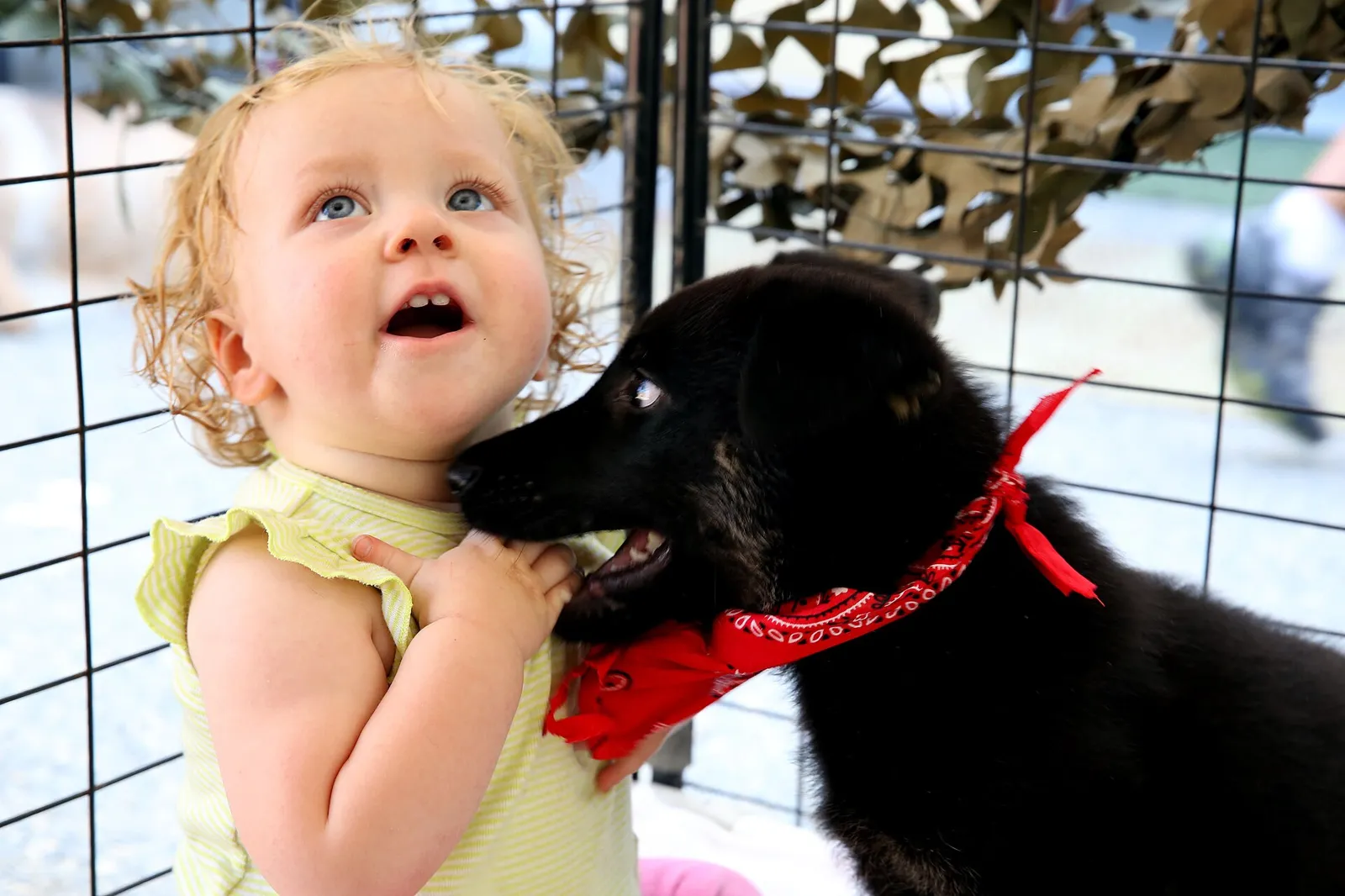 A puppy meets a young visitor at a shelter adoption event at Camp Pendleton, California. The picture does not show Bay County Animal Services.