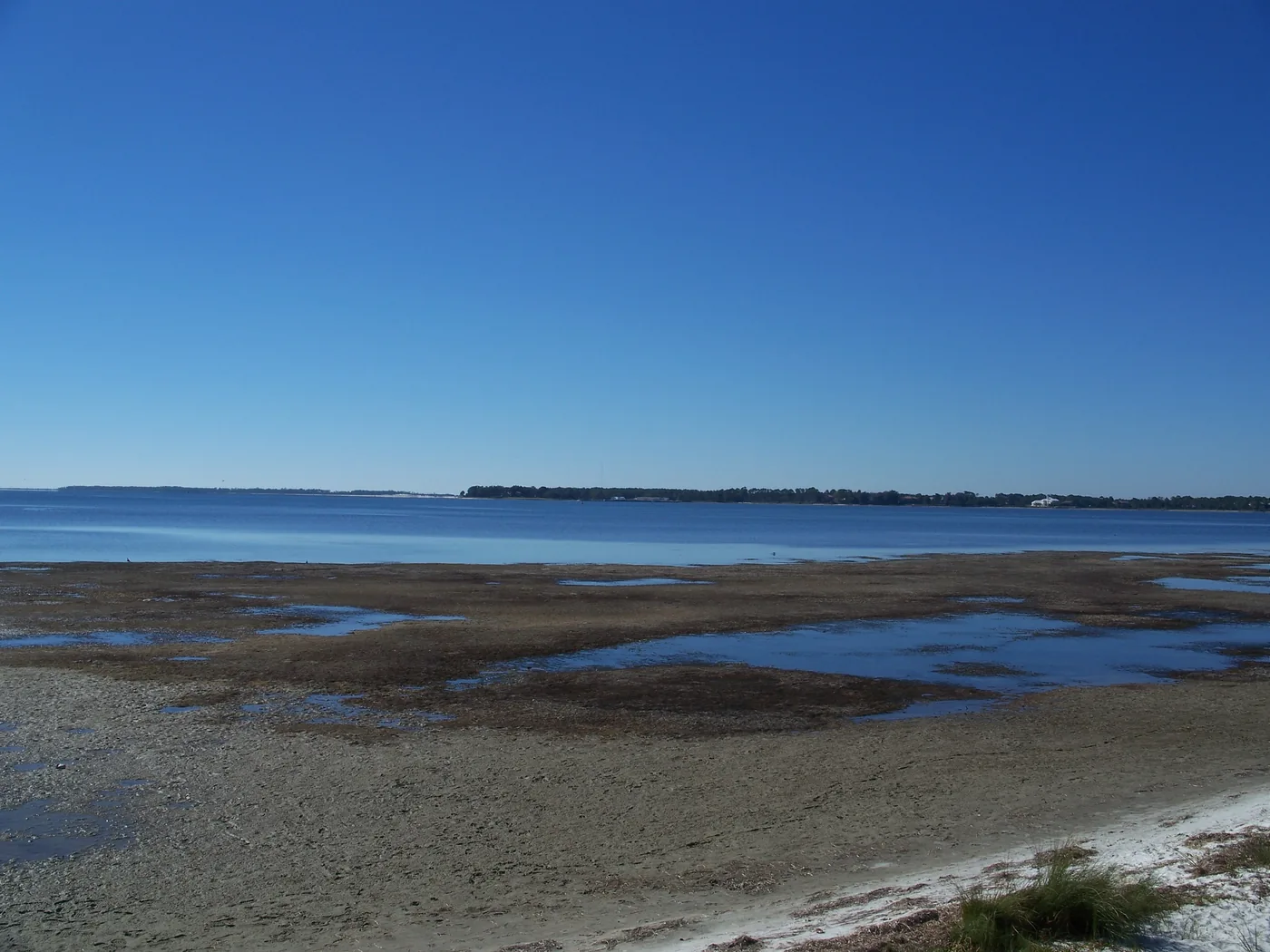 The St. Andrew Bay shoreline at low tide in Panama City.