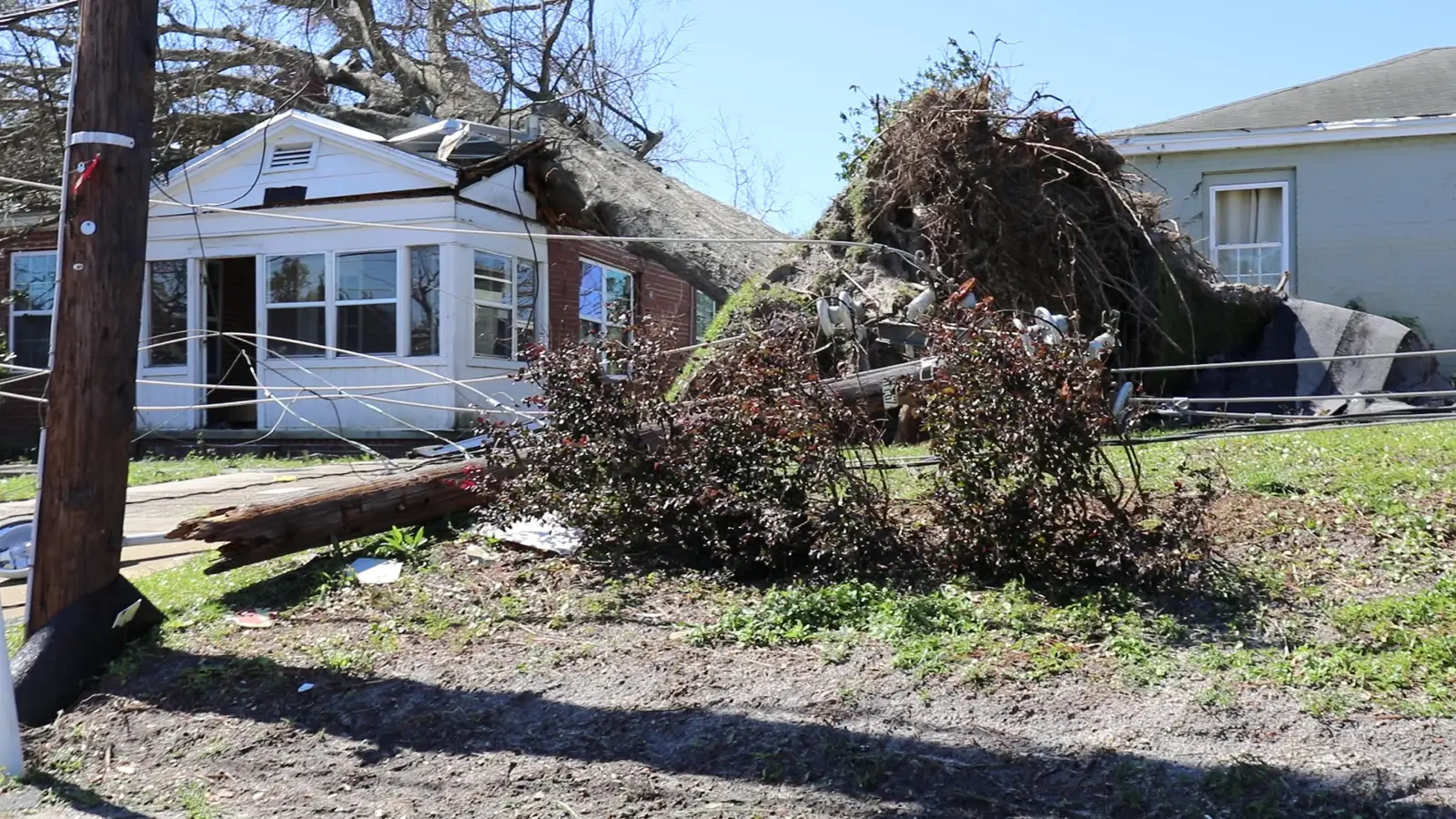 Trees downed by Hurricane Michael lie across homes in Panama City.