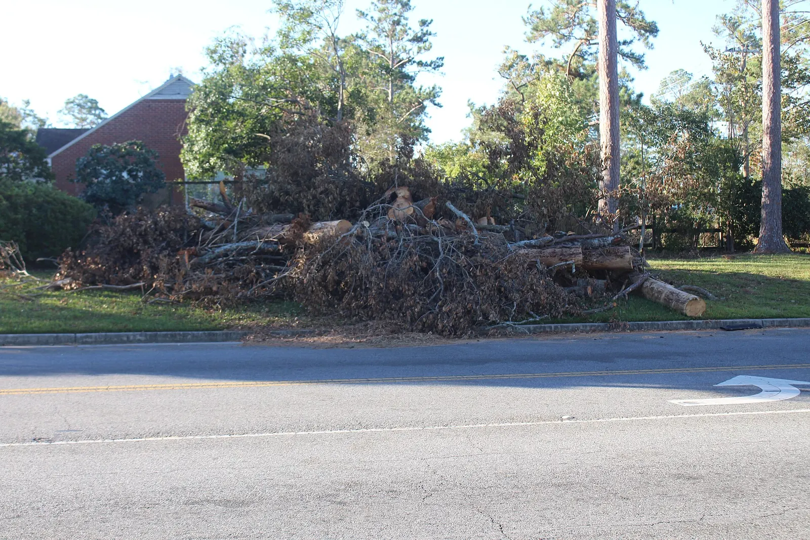 Storm debris piled at the roadside on Gornto Road in Valdosta, Georgia, after Hurricane Helene. The picture does not show Panama City.