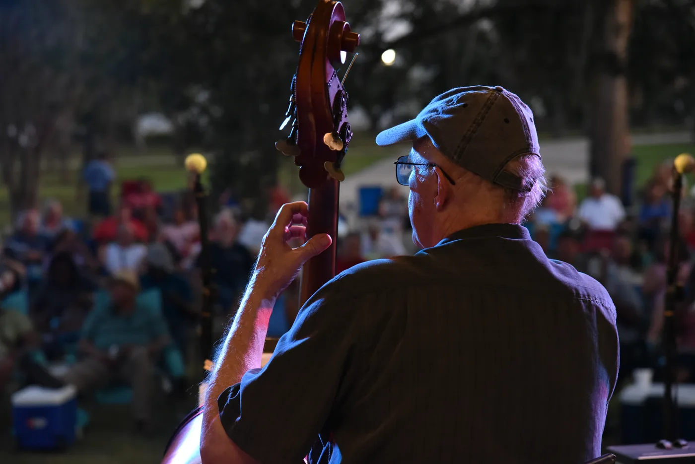 A bass player performs at a Gulf Jazz Society concert at Oaks by the Bay Park in Panama City.