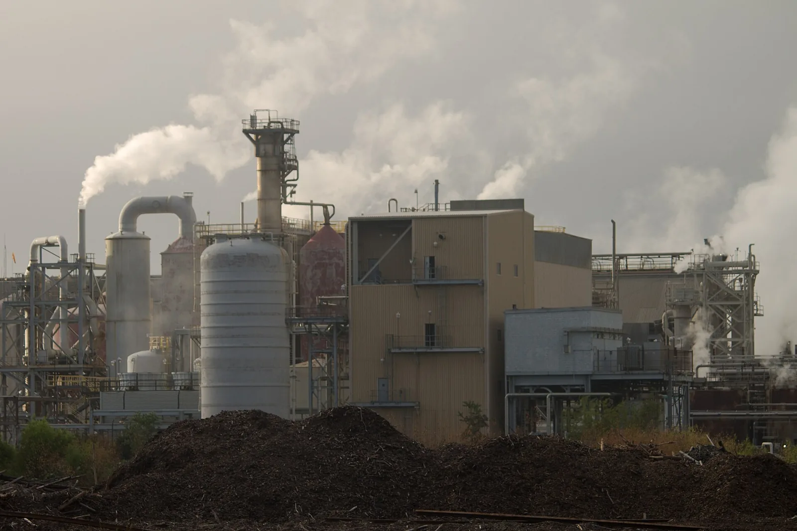 The RockTenn paper mill on St. Andrews Bay, just east of Millville, in 2013.