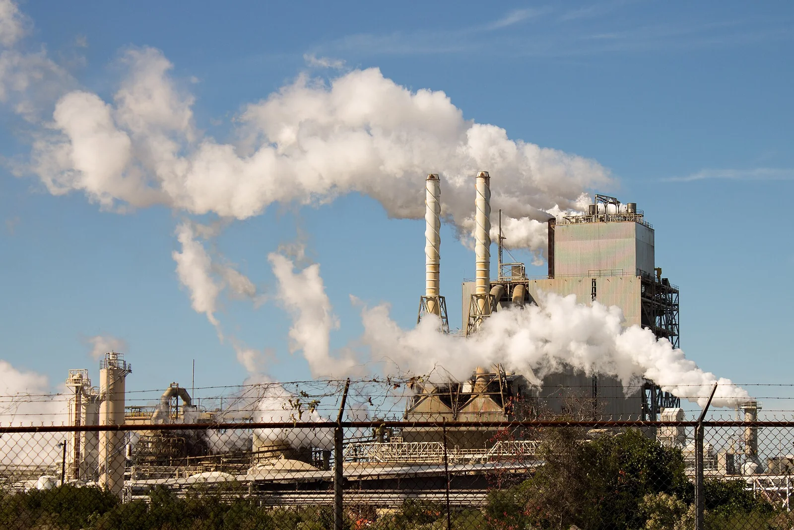 Steam rising from the paper mill in Millville, Panama City