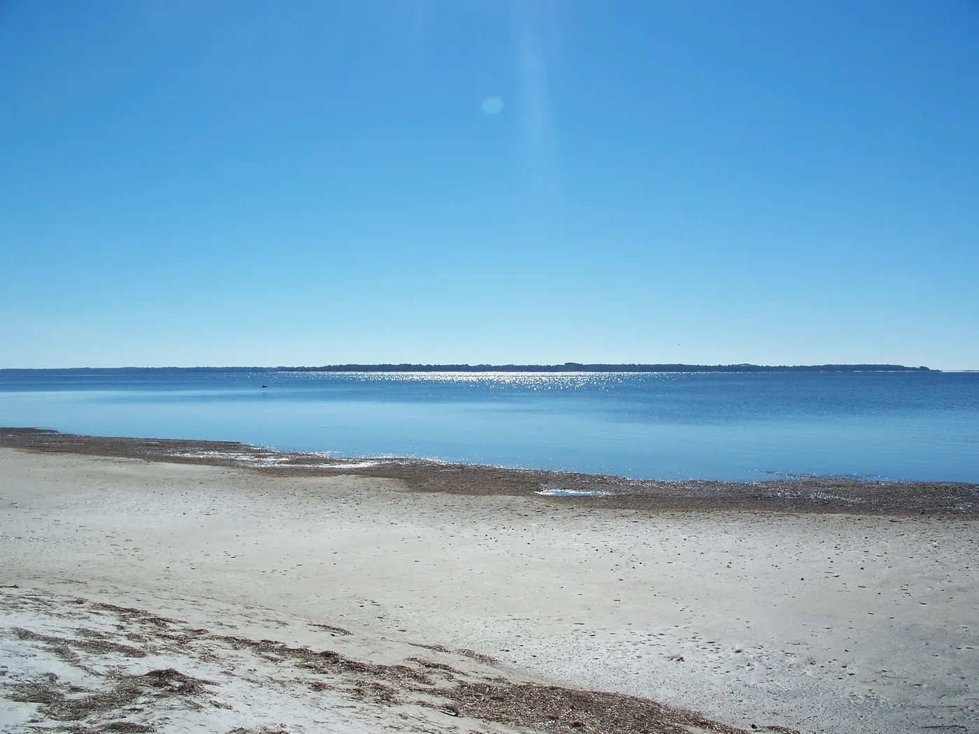 The shallow shoreline of St. Andrew Bay in Panama City.