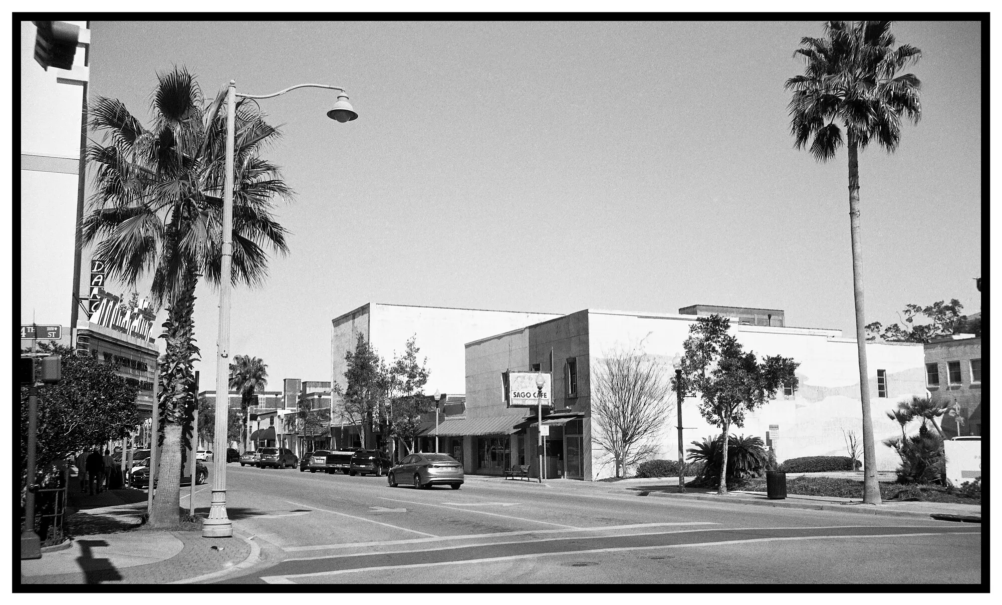 Palm trees and storefronts along Harrison Avenue in downtown Panama City.